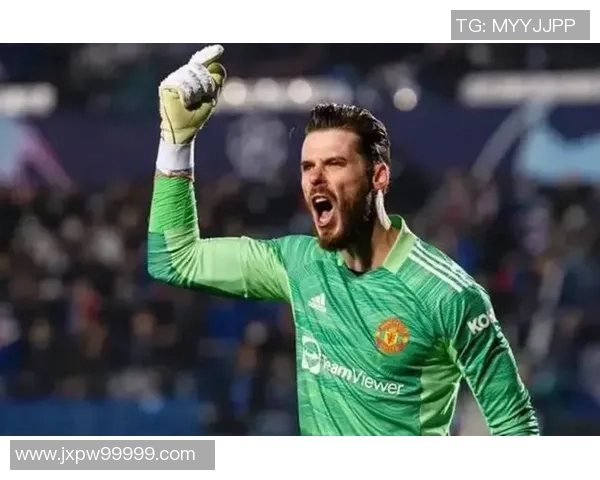 守护球门的传奇门将：足坛巨星们的英勇面孔与荣耀时刻